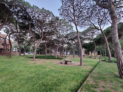 Parc dels pinetons